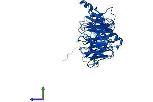 AlphaFold protein structure predicition of Mouse Recombinant Gnb5 Protein, UniprotID P62881