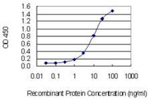 Detection limit for recombinant GST tagged C7orf16 is 0.