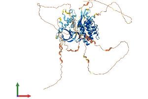 AlphaFold protein structure predicition of Human Recombinant BRSK1 Protein, UniprotID Q8TDC3