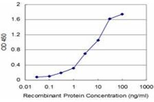 Detection limit for recombinant GST tagged USP9X is approximately 0. (USP9X anticorps  (AA 1-90))