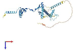 AlphaFold protein structure predicition of Human Recombinant RRS1 Protein, UniprotID Q15050