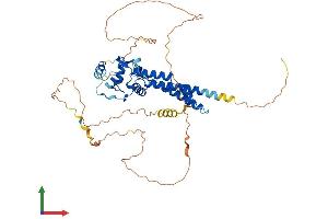 AlphaFold protein structure predicition of Mouse Recombinant Tfap2b Protein, UniprotID Q61313