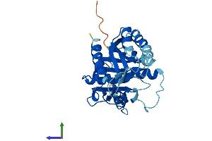 AlphaFold protein structure predicition of Mouse Recombinant Nubp2 Protein, UniprotID Q9R061