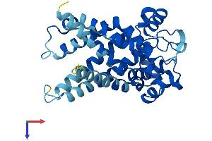 AlphaFold protein structure predicition of Mouse Recombinant Slc25a5 Protein, UniprotID P51881