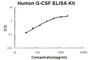 Human G-CSF PicoKine ELISA Kit standard curve (G-CSF Kit ELISA)