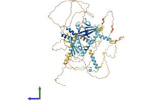 AlphaFold protein structure predicition of Human Recombinant SUPT20H Protein, UniprotID Q8NEM7