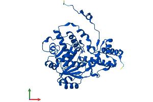 AlphaFold protein structure predicition of Human Recombinant AGXT Protein, UniprotID P21549