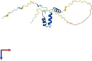 AlphaFold protein structure predicition of Mouse Recombinant Avpi1 Protein, UniprotID Q9D7H4