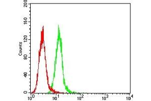 Flow cytometric analysis of Hela cells using PGR mouse mAb (green) and negative control (red).