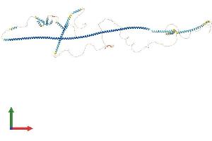 AlphaFold protein structure predicition of Mouse Recombinant Ofd1 Protein, UniprotID Q80Z25