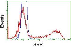 Flow Cytometry (FACS) image for anti-Serine Racemase (SRR) antibody (ABIN1501134) (SRR anticorps)