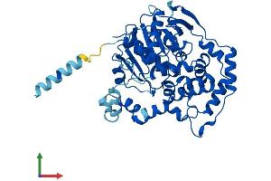 AlphaFold protein structure predicition of Human Recombinant EPHX1 Protein, UniprotID P07099