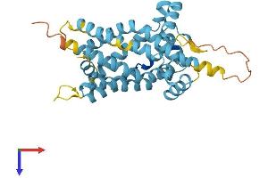 AlphaFold protein structure predicition of Mouse Recombinant Slc25a18 Protein, UniprotID Q9DB41