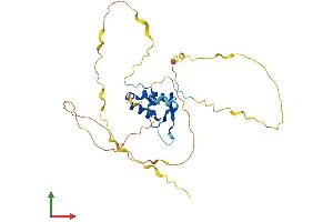 AlphaFold protein structure predicition of Human Recombinant FOXE3 Protein, UniprotID Q13461