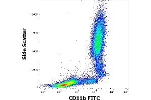 Flow cytometry surface staining pattern of human peripheral whole blood stained using anti-human CD11b (MEM-174) FITC antibody (20 μL reagent / 100 μL of peripheral whole blood). (CD11b anticorps  (FITC))