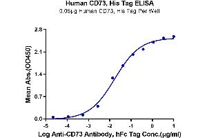 Immobilized Human CD73, His Tag at 0. (CD73 Protein (AA 27-547) (His tag))
