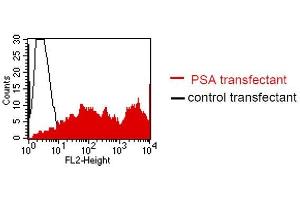 FACS analysis of BOSC23 cells using LT-3D2. (Prostate Specific Antigen anticorps)
