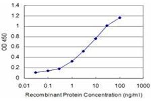 Detection limit for recombinant GST tagged RCV1 is approximately 0. (Recoverin anticorps  (AA 101-199))