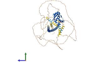 AlphaFold protein structure predicition of Mouse Recombinant Dach2 Protein, UniprotID Q925Q8