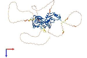 AlphaFold protein structure predicition of Mouse Recombinant Pias2 Protein, UniprotID Q8C5D8