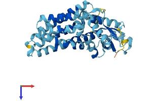 AlphaFold protein structure predicition of Mouse Recombinant Sfxn2 Protein, UniprotID Q925N2