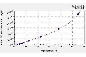 Typical standard curve (KLF10/TIEG1 Kit ELISA)