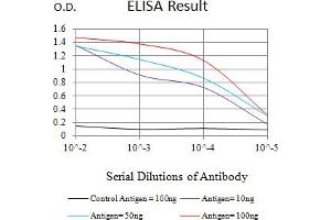 Black line: Control Antigen (100 ng),Purple line: Antigen (10 ng), Blue line: Antigen (50 ng), Red line:Antigen (100 ng) (Tumor Suppressor ARF (CDKN2A) (AA 1-156) anticorps)