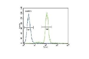 CD14 Antibody (C-term) (ABIN390261 and ABIN2840719) flow cytometric analysis of A549 cells (right histogram) compared to a negative control cell (left histogram). (CD14 anticorps  (C-Term))
