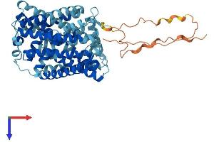 AlphaFold protein structure predicition of Mouse Recombinant Slc7a10 Protein, UniprotID P63115