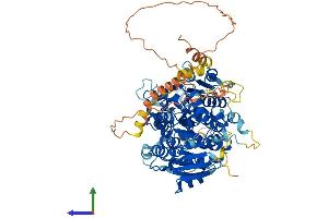 AlphaFold protein structure predicition of Human Recombinant UTP25 Protein, UniprotID Q68CQ4