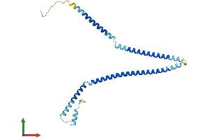AlphaFold protein structure predicition of Mouse Recombinant Cenph Protein, UniprotID Q9QYM8