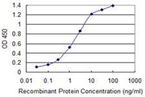 Detection limit for recombinant GST tagged TBL1XR1 is 0. (TBL1XR1 anticorps  (AA 81-178))