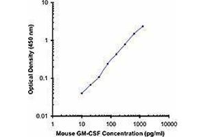ELISA image for anti-Colony Stimulating Factor 2 (Granulocyte-Macrophage) (CSF2) antibody (Biotin) (ABIN2661168) (GM-CSF anticorps  (Biotin))