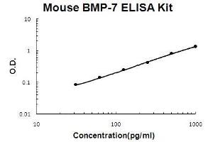 Mouse BMP-7 PicoKine ELISA Kit standard curve (BMP7 Kit ELISA)