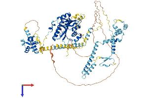 AlphaFold protein structure predicition of Mouse Recombinant Ftsj3 Protein, UniprotID Q9DBE9