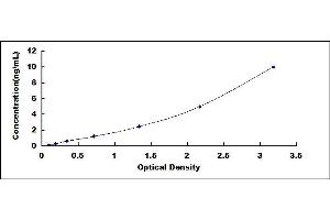 Typical standard curve (SERPINA12 Kit ELISA)