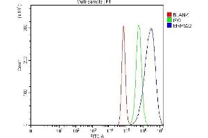Flow Cytometry analysis of Hela cells using anti-MRPS22 antibody (ABIN7600613). (MRPS22 anticorps  (AA 21-329))