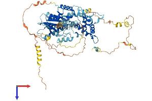 AlphaFold protein structure predicition of Mouse Recombinant Lsg1 Protein, UniprotID Q3UM18