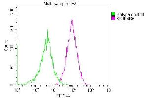 Overlay histogram showing Jurkat cells stained with ABIN7147181 (red line) at 1:200. (CD81 anticorps)