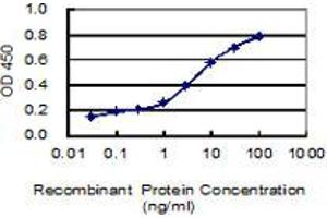 Detection limit for recombinant GST tagged PRICKLE1 is 0.