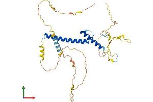 AlphaFold protein structure predicition of Mouse Recombinant Ptf1a Protein, UniprotID Q9QX98