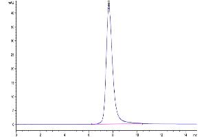 The purity of SARS Spike RBD is greater than 95 % as determined by SEC-HPLC.
