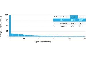 Specificity of ABIN6383875 to CD14 was tested on a human protein array, showing monospecificity against >19,000 full-length human proteins.