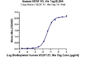Immobilized Human VEGF R1, His Tag at 2 μg/mL (100 μL/well) on the plate.