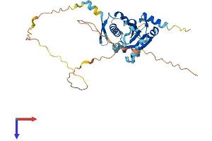AlphaFold protein structure predicition of Human Recombinant BNIP2 Protein, UniprotID Q12982