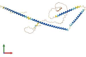 AlphaFold protein structure predicition of Human Recombinant AZI2 Protein, UniprotID Q9H6S1
