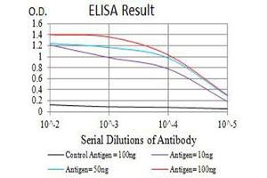 Black line: Control Antigen (100 ng),Purple line: Antigen (10 ng), Blue line: Antigen (50 ng), Red line:Antigen (100 ng) (MPL anticorps  (AA 26-175))
