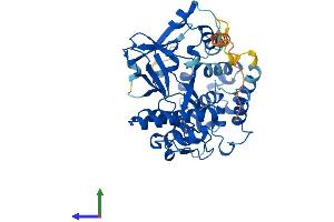 AlphaFold protein structure predicition of Human Recombinant SMYD5 Protein, UniprotID Q6GMV2