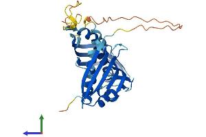 AlphaFold protein structure predicition of Mouse Recombinant Ahsa1 Protein, UniprotID Q8BK64