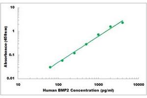 Representative Standard Curve